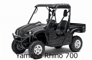 Yamaha Rhino 700 Engine